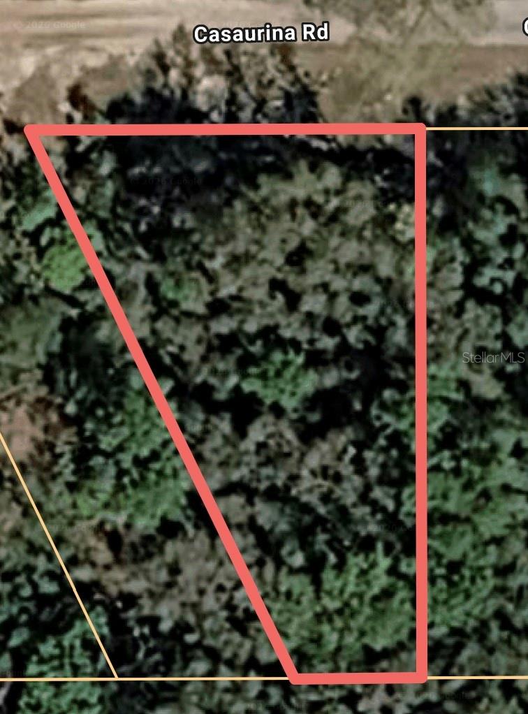 Casaurina Road, FL