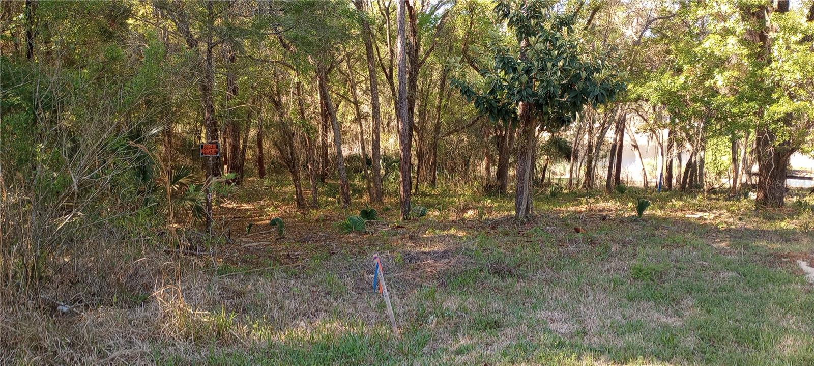 Casaurina Road, FL