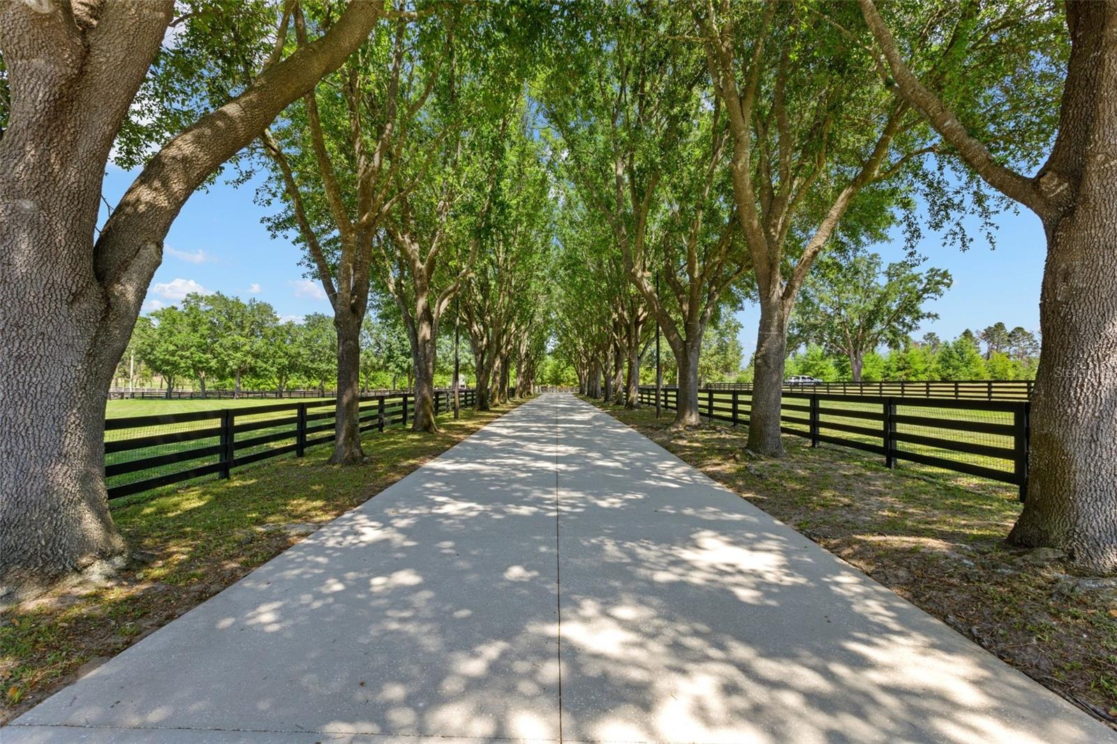9751 Quiet Lane, FL