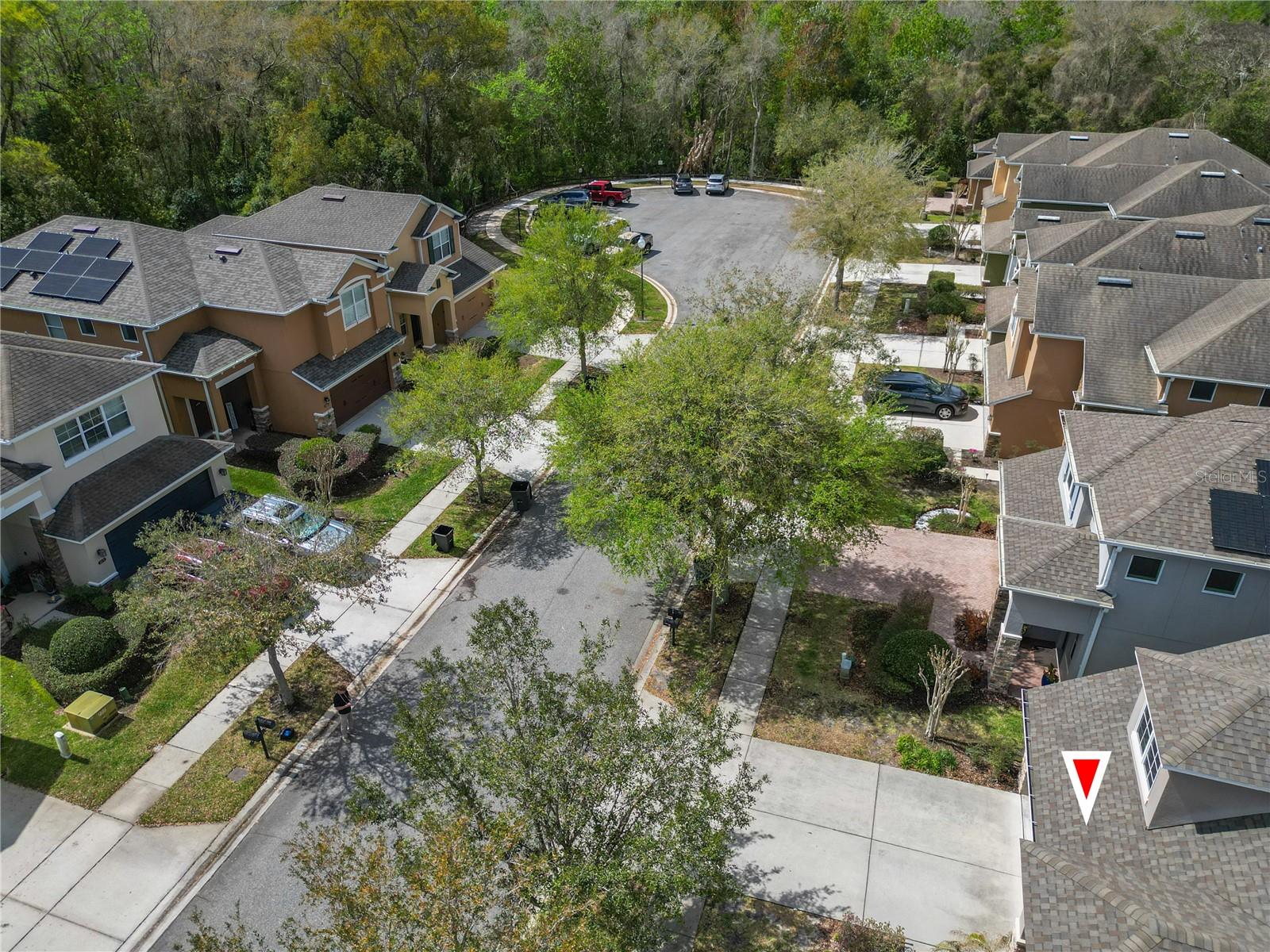 2878 Pewter Mist Court, FL