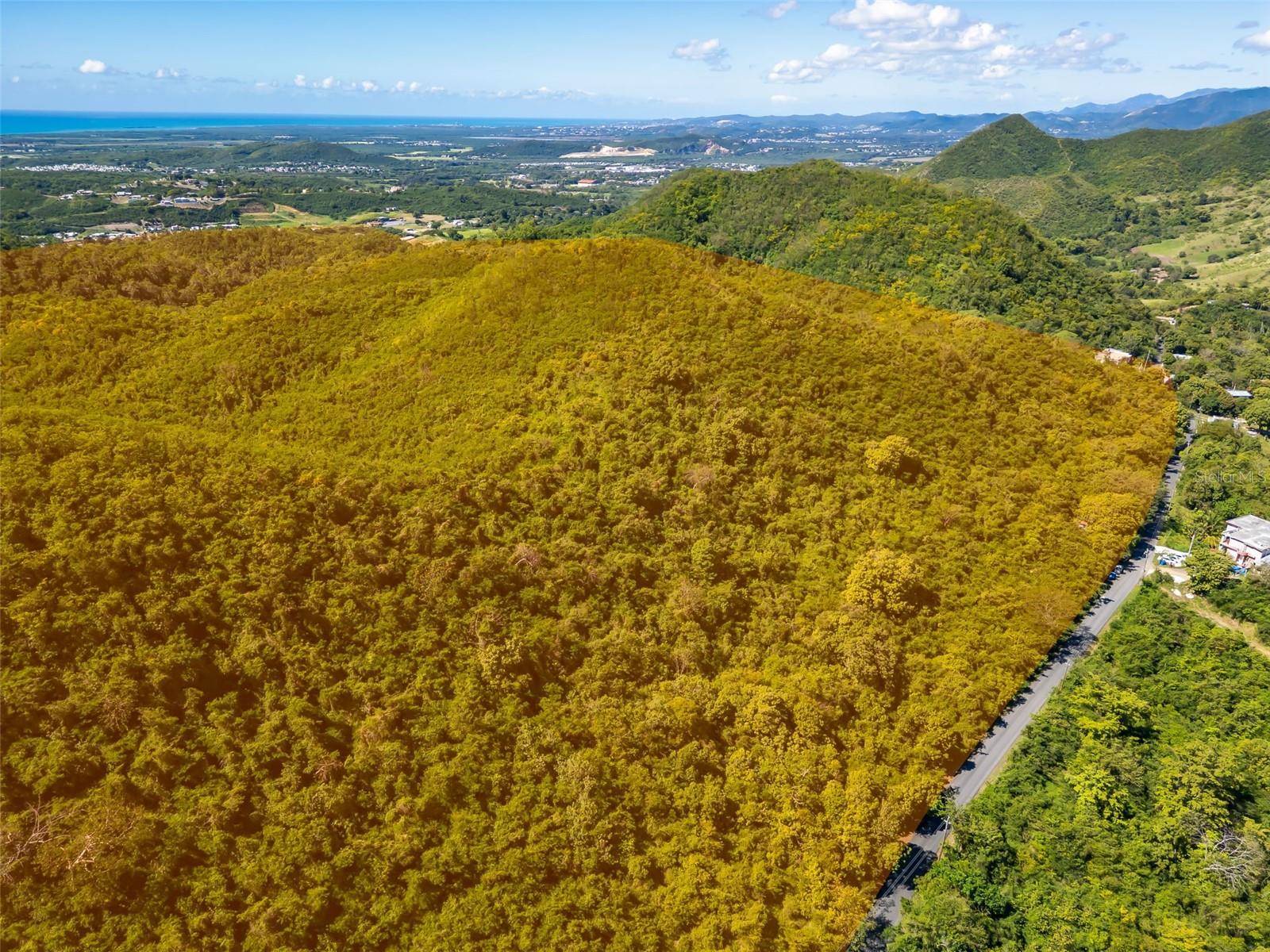 Bo Tijeras, PR