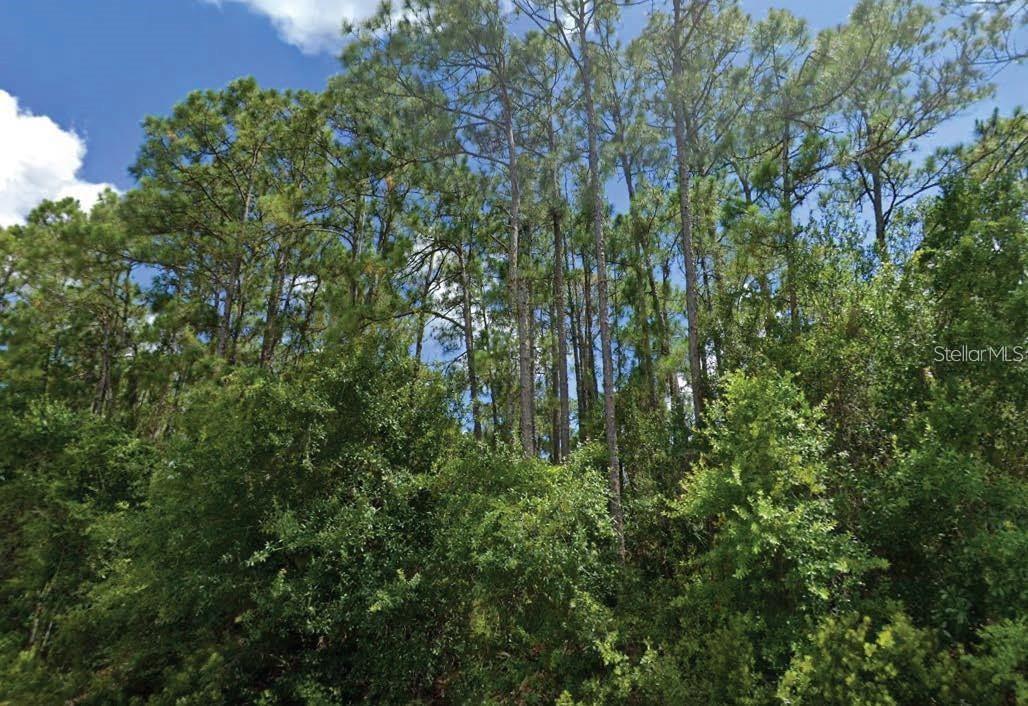 Langsom Ln, FL