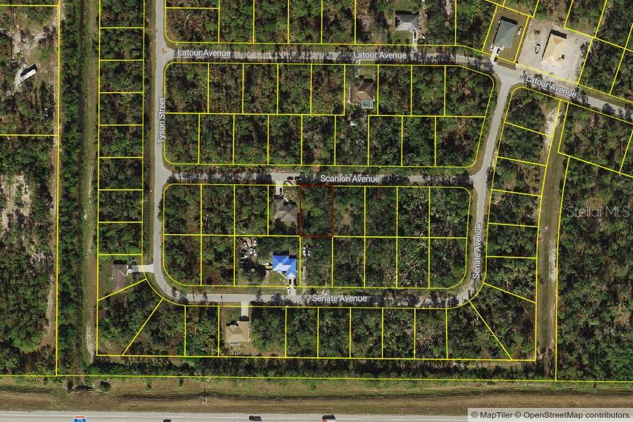 Scanlon Avenue, FL