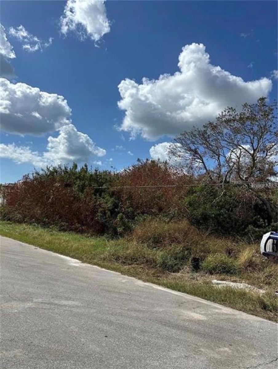 232 Spring Drive, FL
