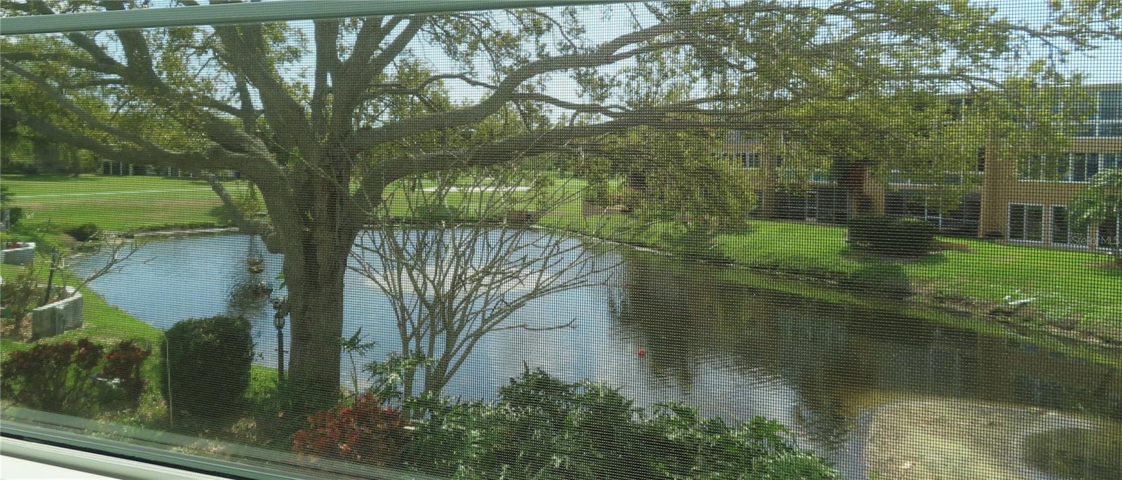 225 Country Club Drive, FL