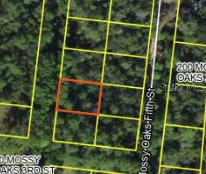 200 Mossy Oaks 4th St, FL