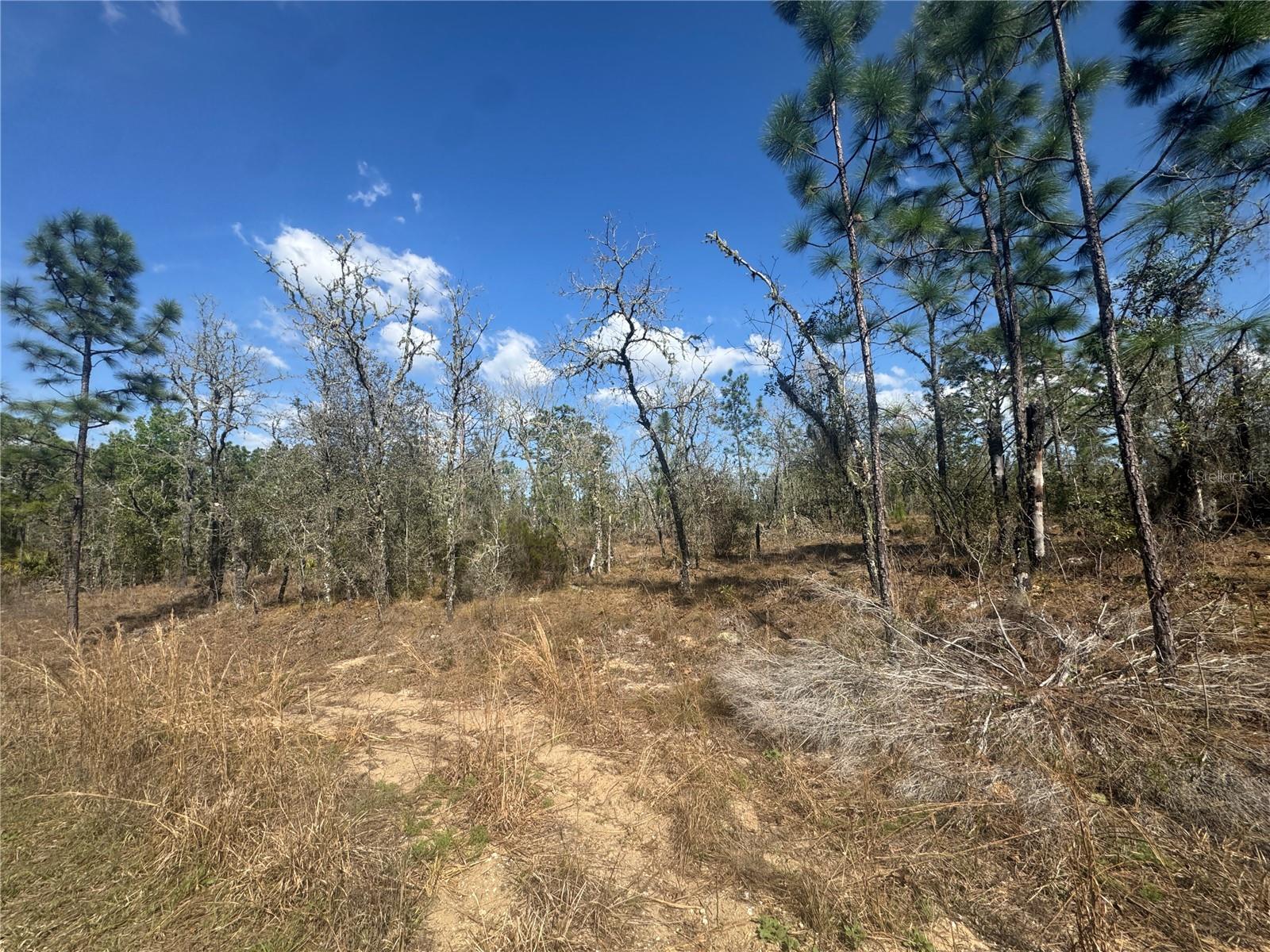 Tbd 155th Avenue, FL