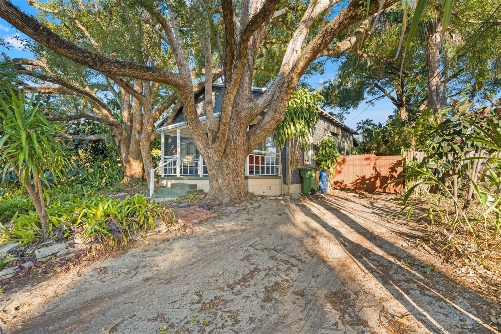 501 Floribraska Avenue, FL