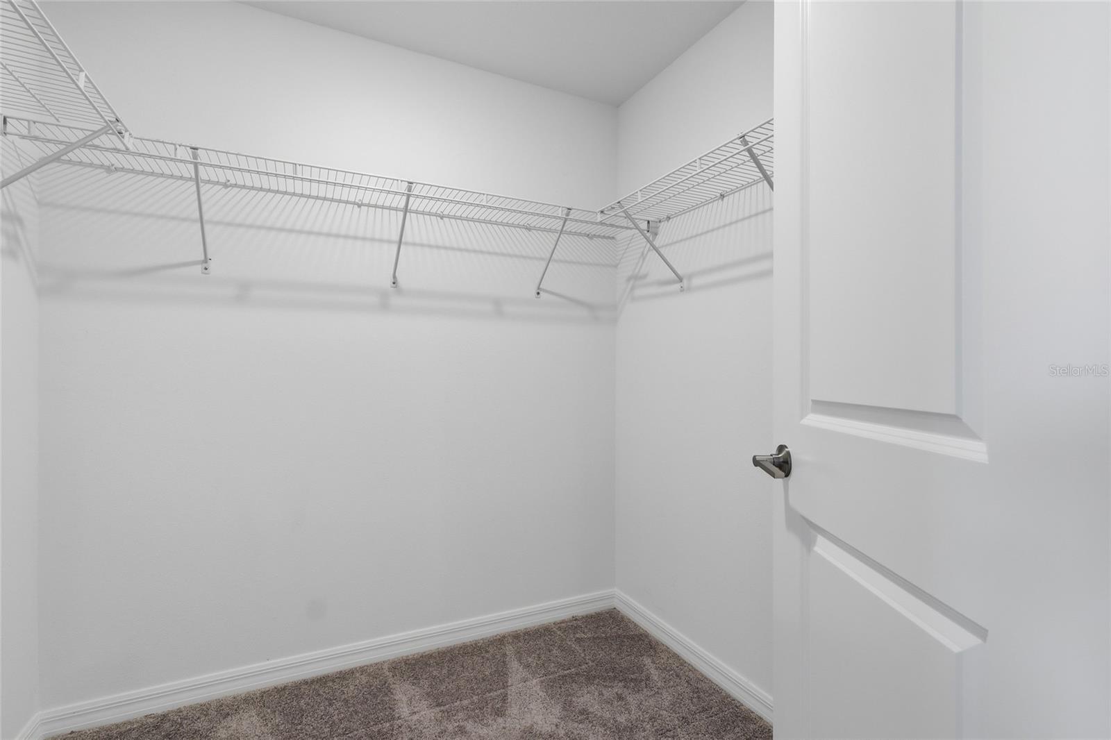 32127 Powderpuff Mimosa Drive, FL