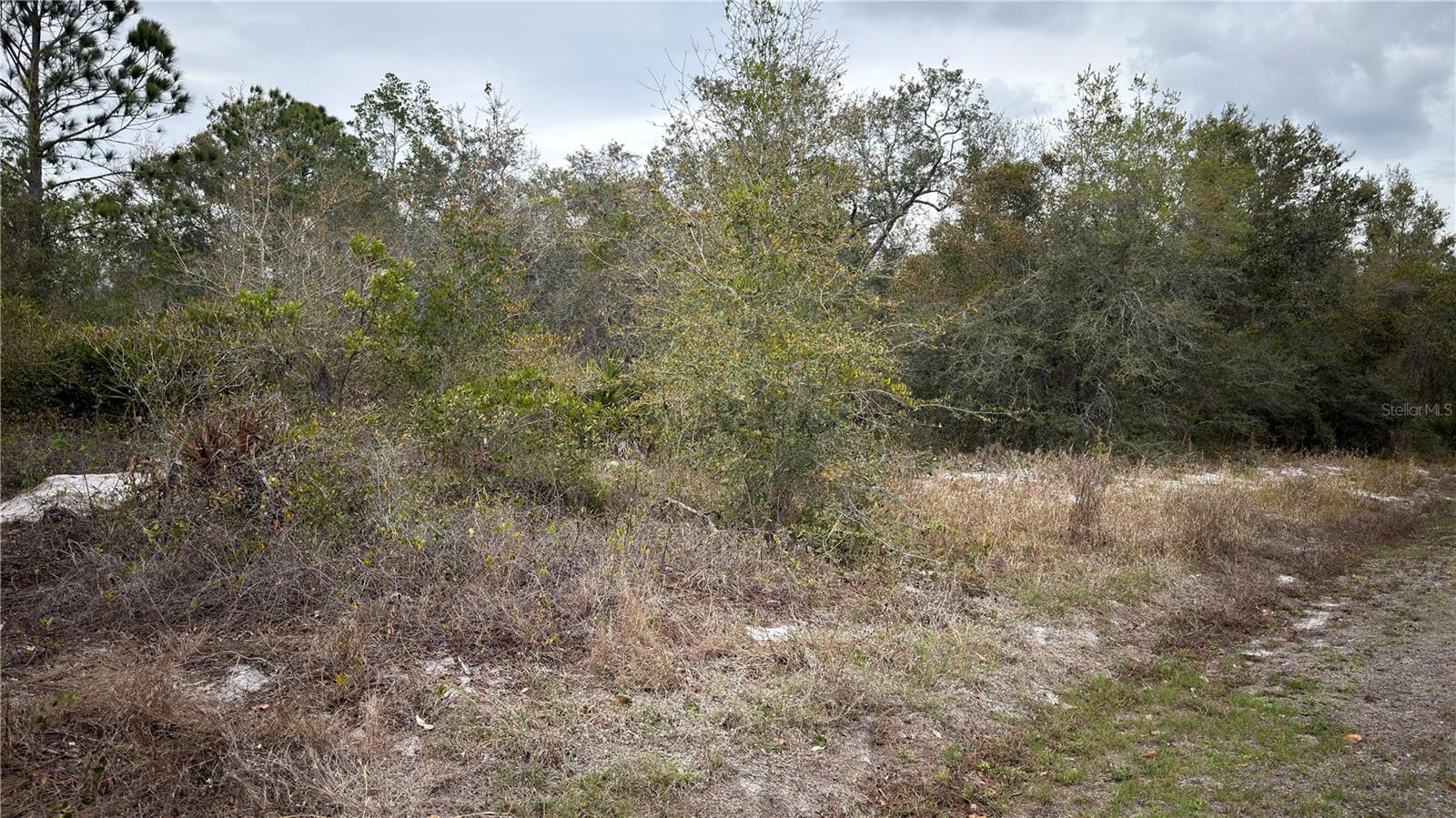 336 Pershing Avenue, FL