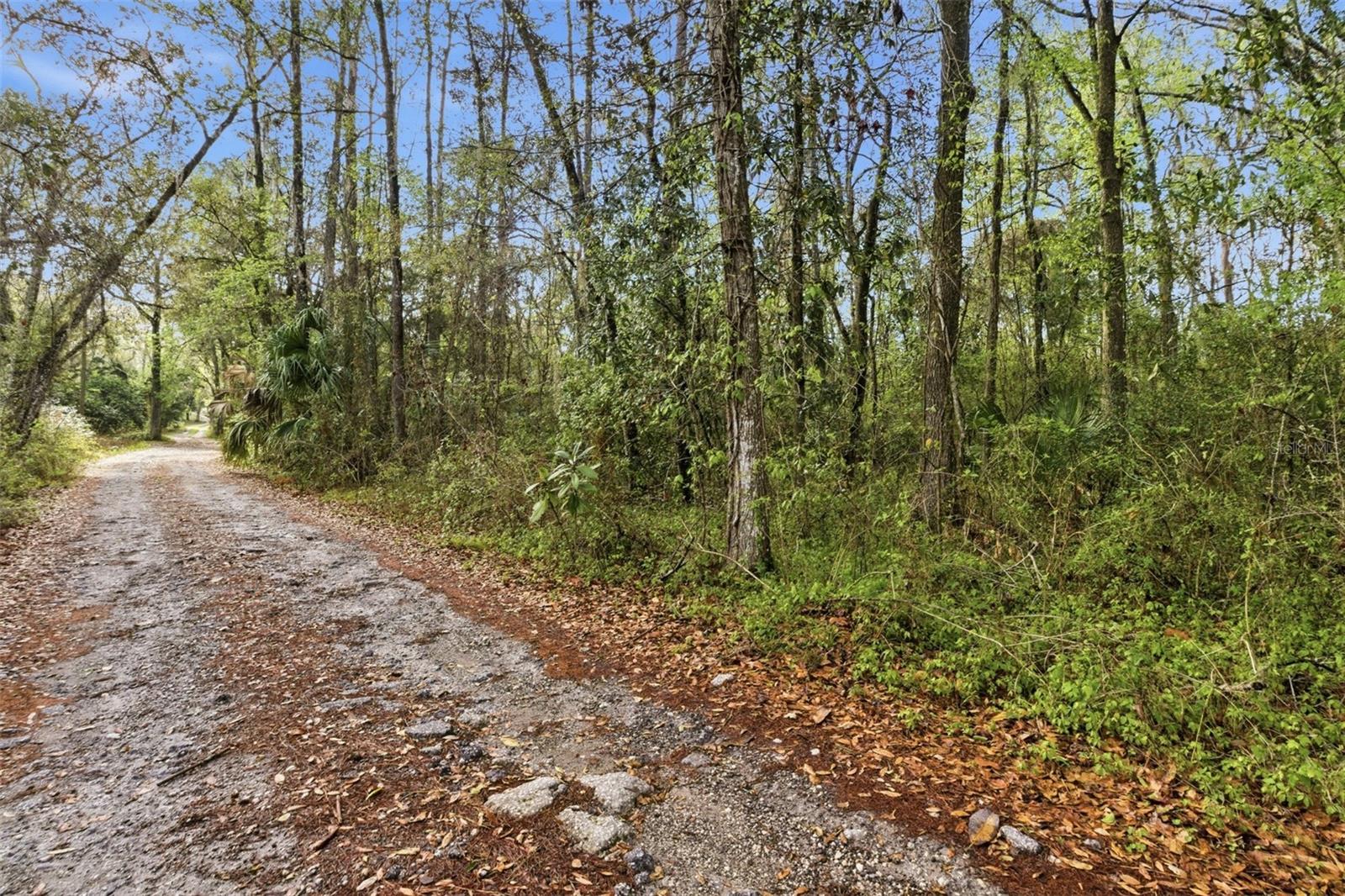0 Chisholm Street, FL