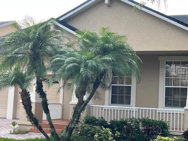 9721 Old Patina Way, FL