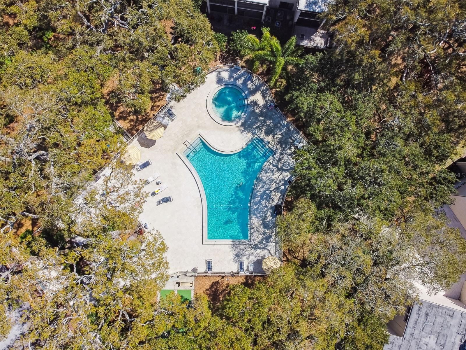 865 Virginia Court, FL
