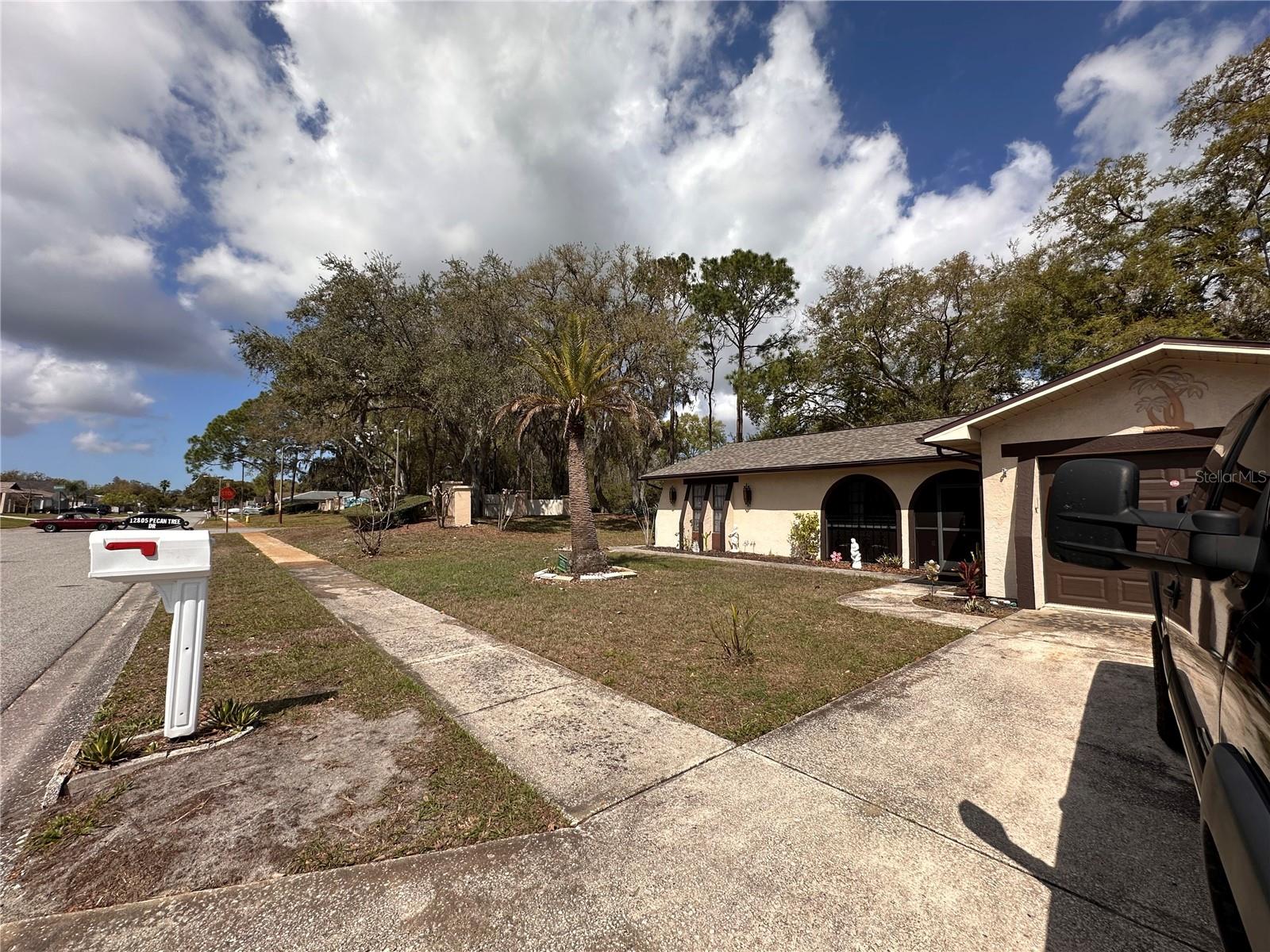 12805 Pecan Tree Drive, FL