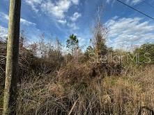 4125 Quail Nest Ln, FL