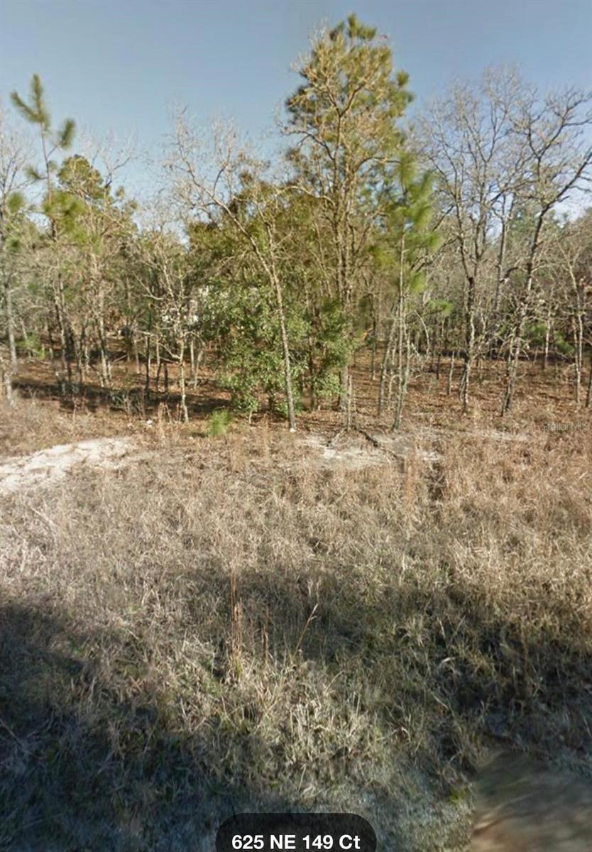 Ne 149th Ct, FL