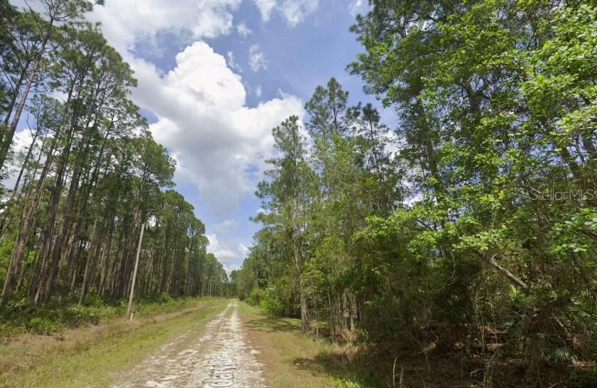 138 Mosswood Street, FL