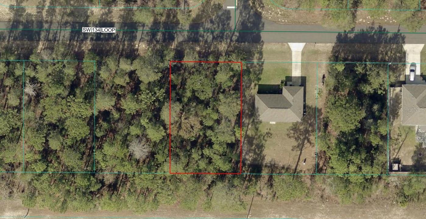 Tbd 134 Loop, FL