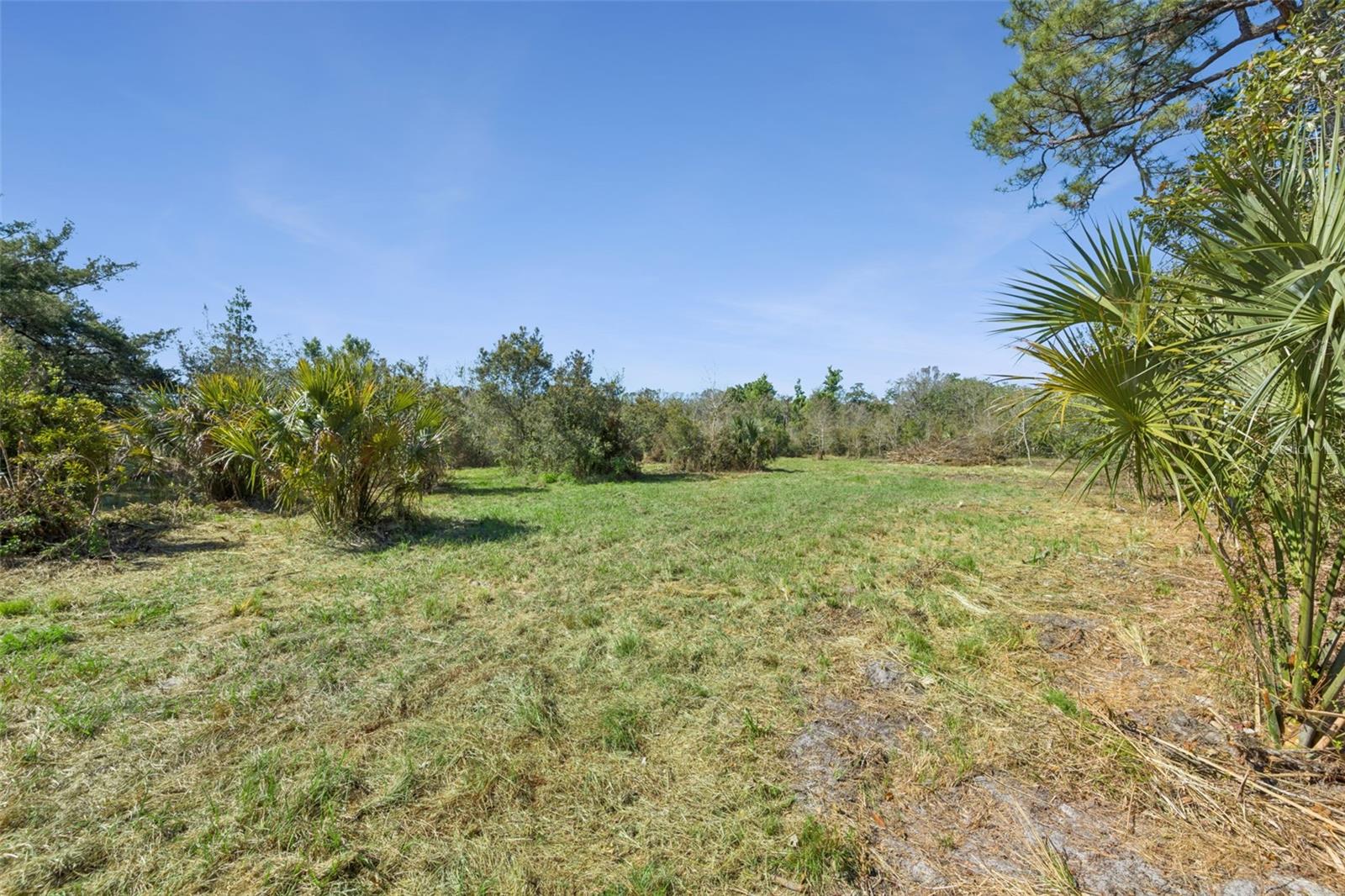 Lot 2 Oak Hollow, FL