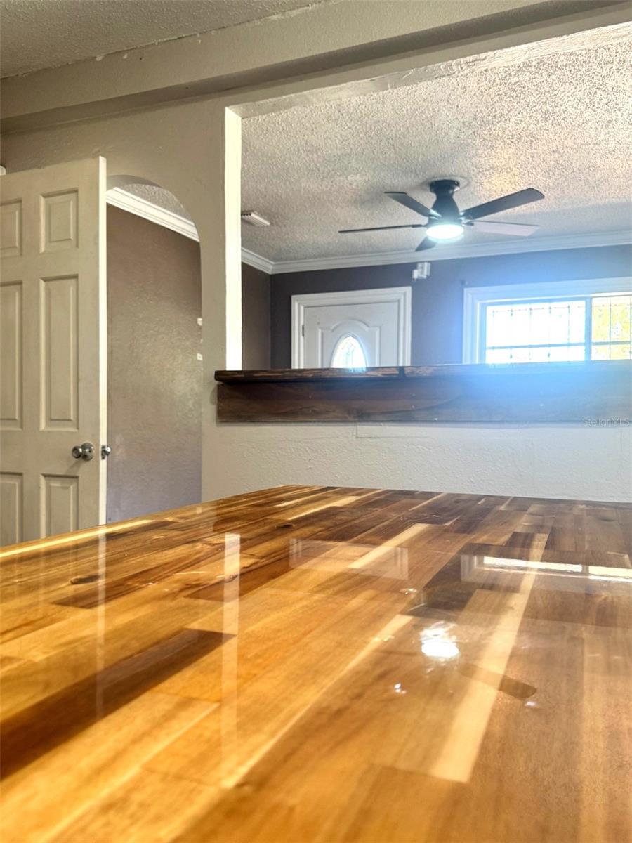 505 Columbus Drive, FL