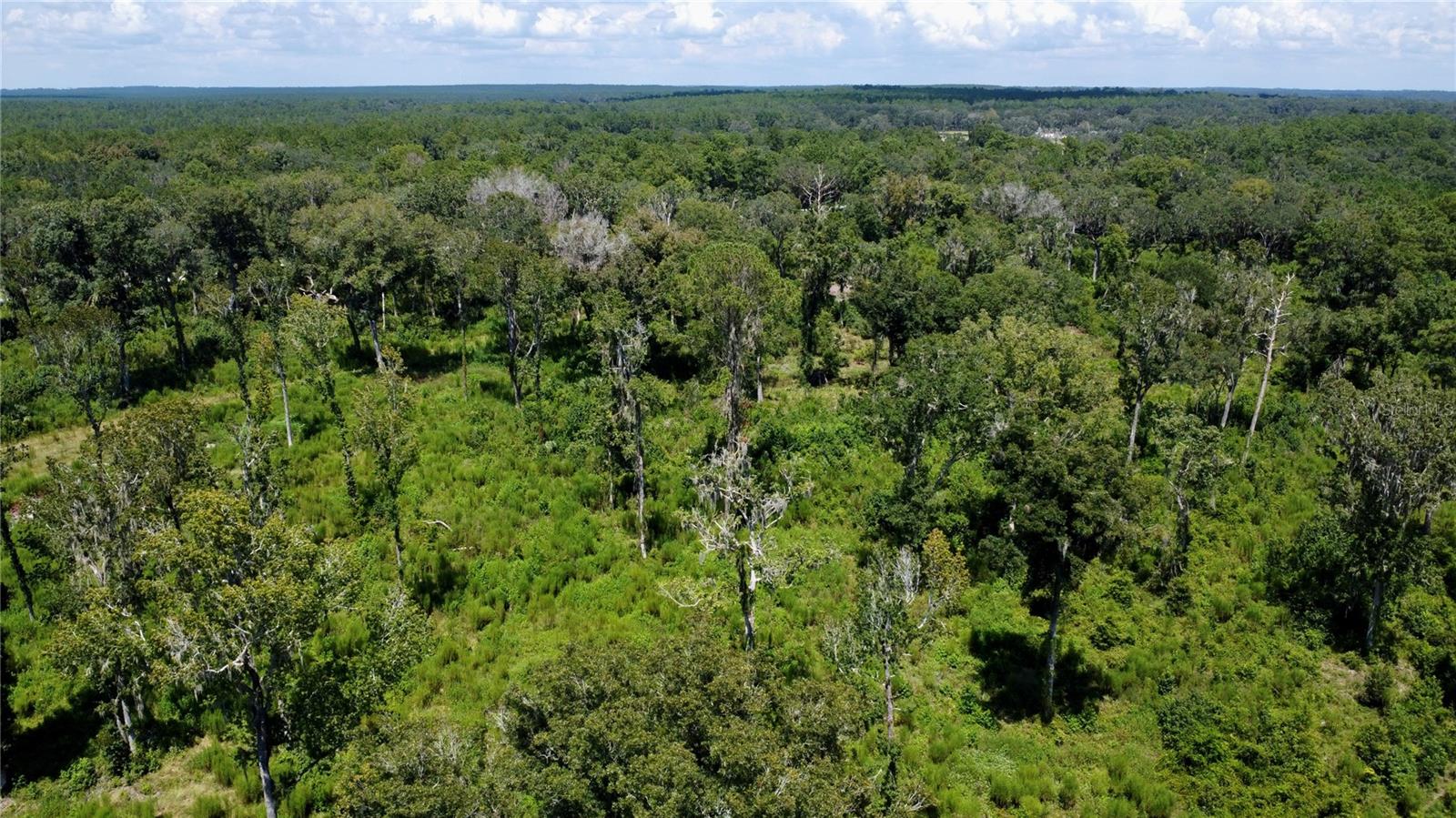 Us Hwy 27, FL