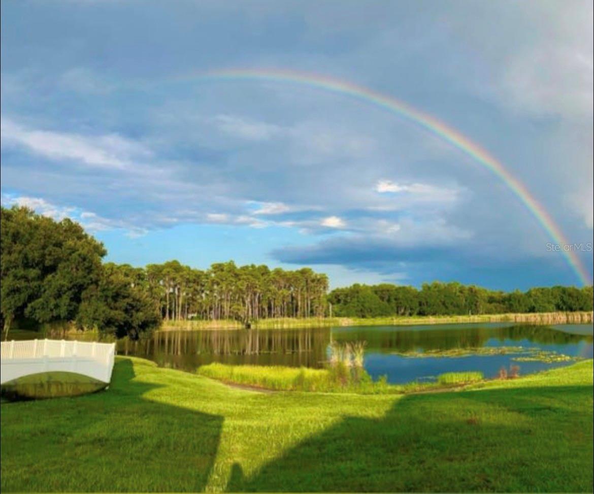 1312 Brooke View Drive, FL