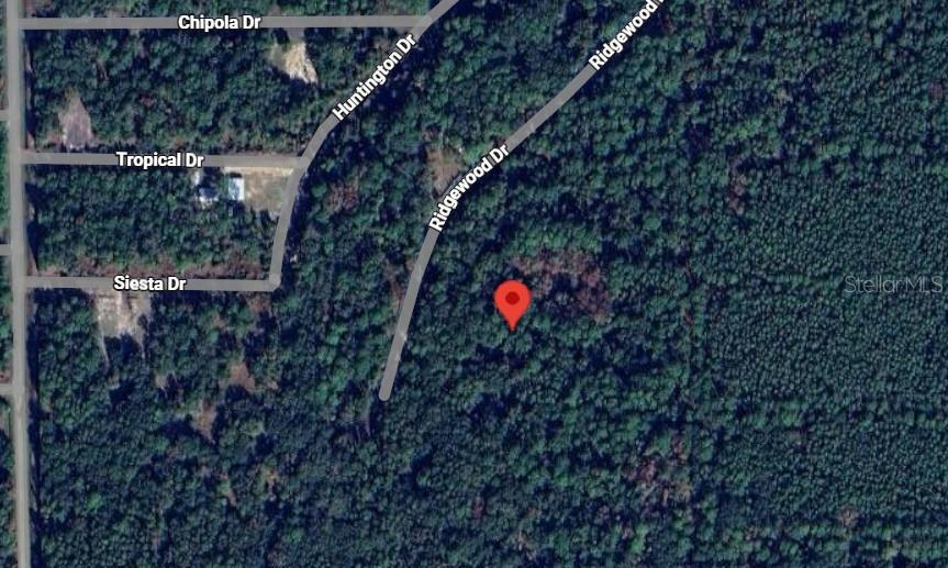 205 Siesta Dr, FL