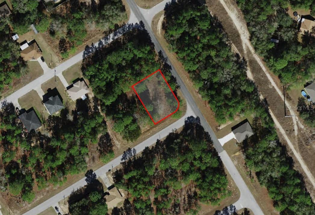 805 W Smallman Pl, FL