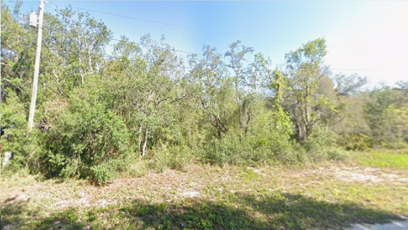 2180 W Bonita Rd, FL
