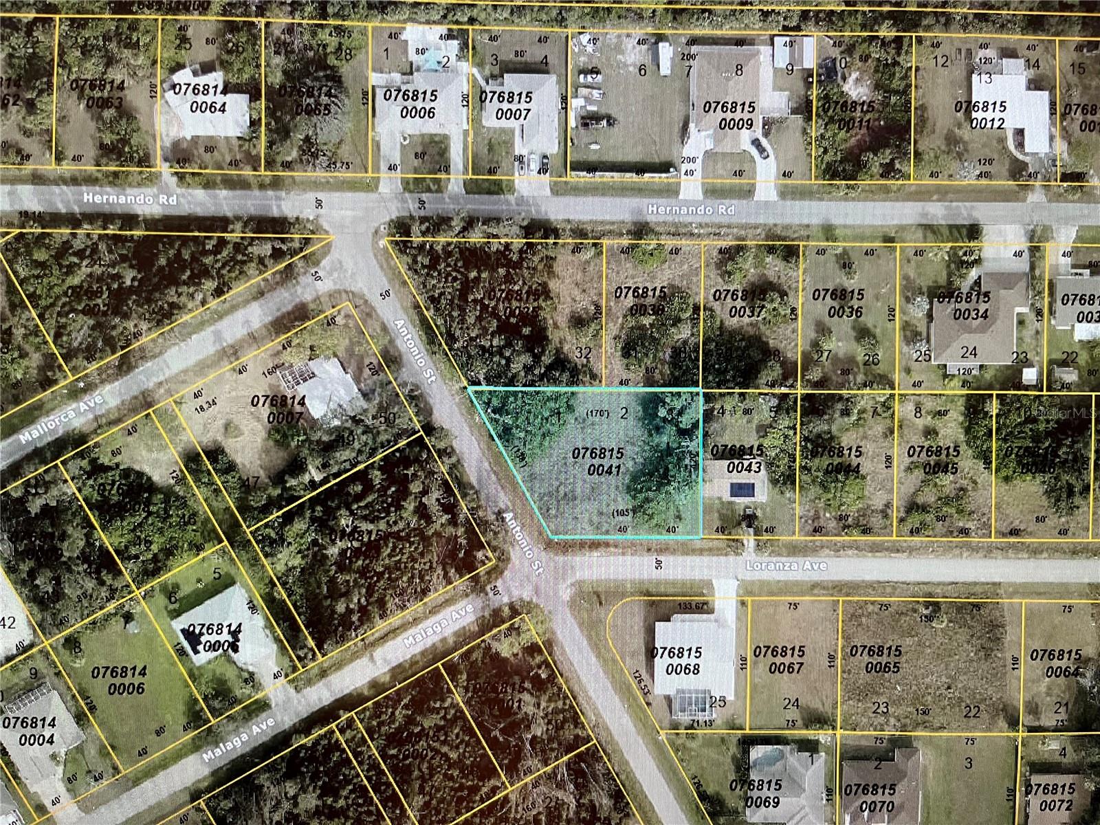 Lot 1,2,3 Loranza Ave, FL