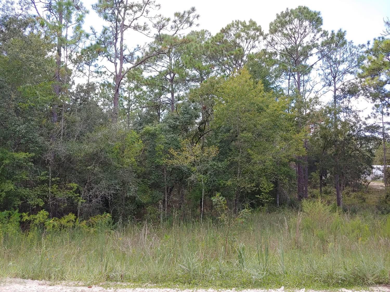 Tbd 150th Avenue, FL