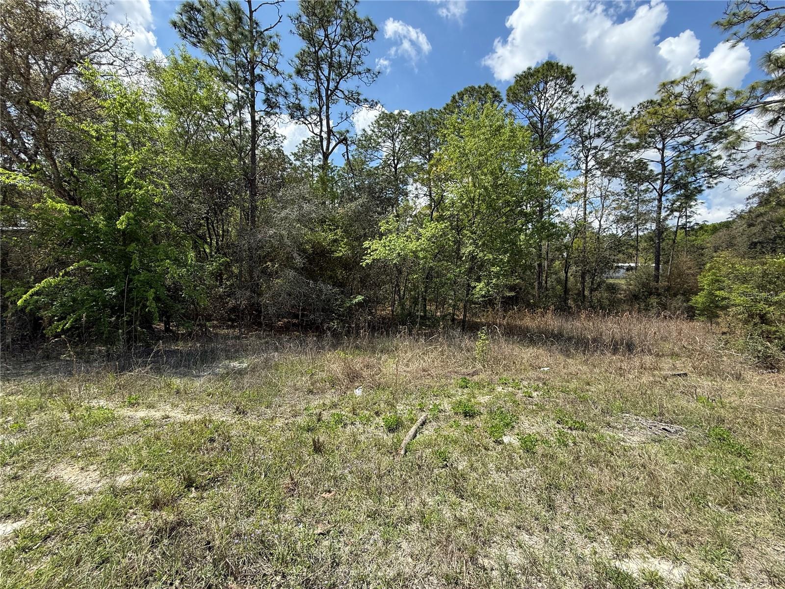 Tbd 150th Avenue, FL