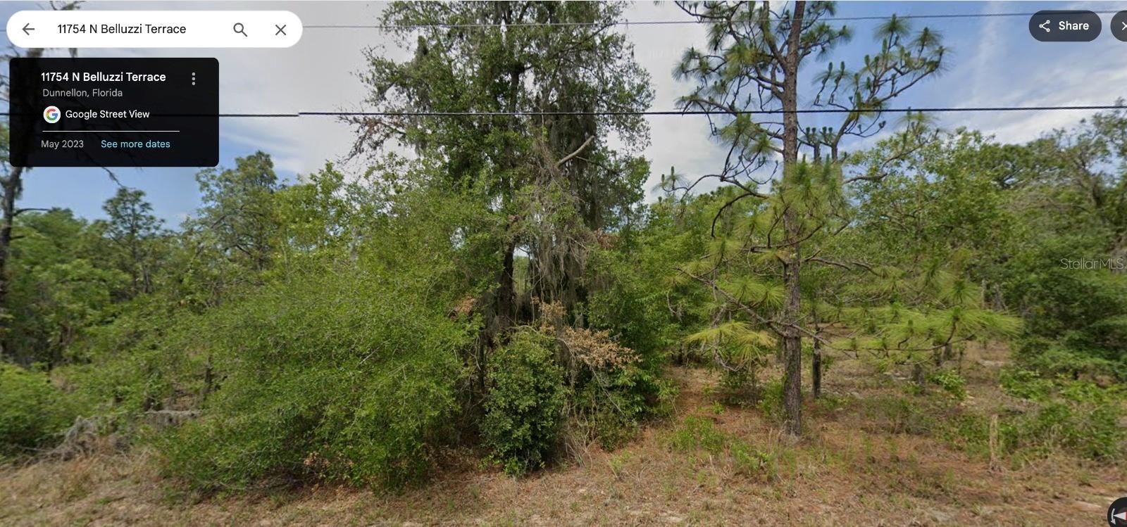 11754 N Belluzzi Ter, FL