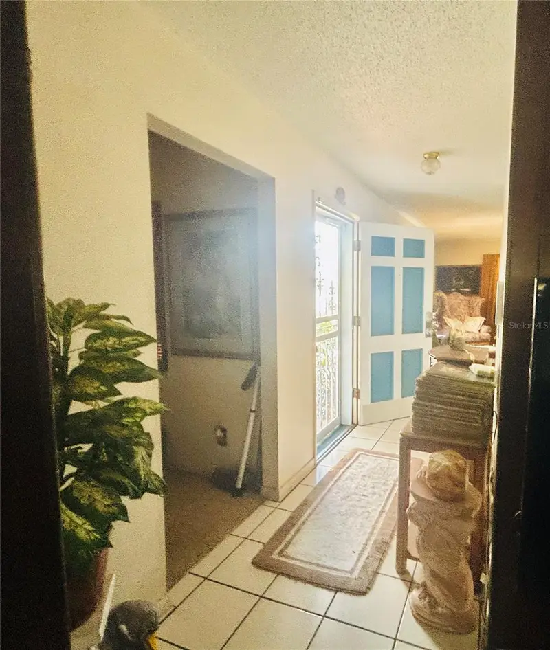 3245 Coleus Ct, FL