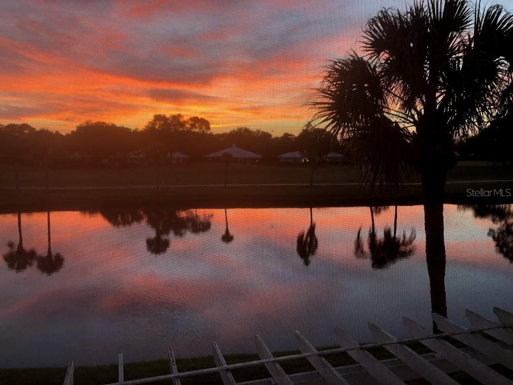 425 Cerromar Terrace, FL