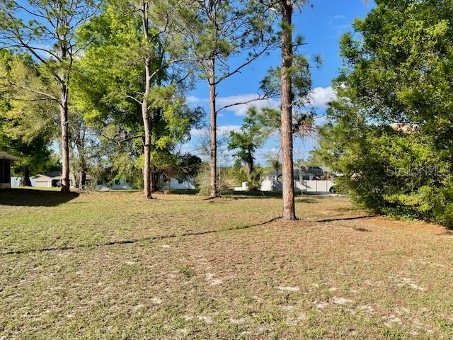 Highland Trail, FL