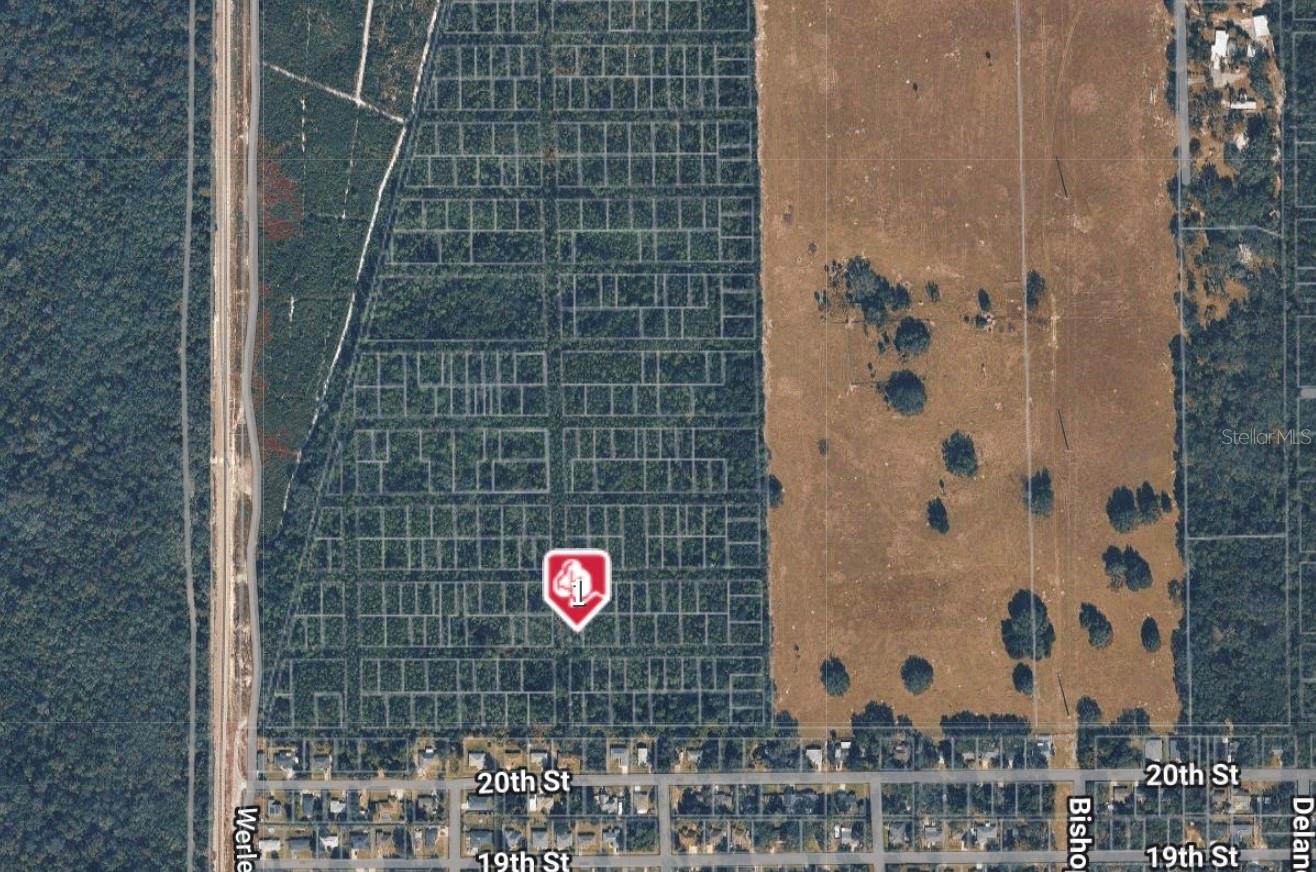 No Name No Name-2309733, FL