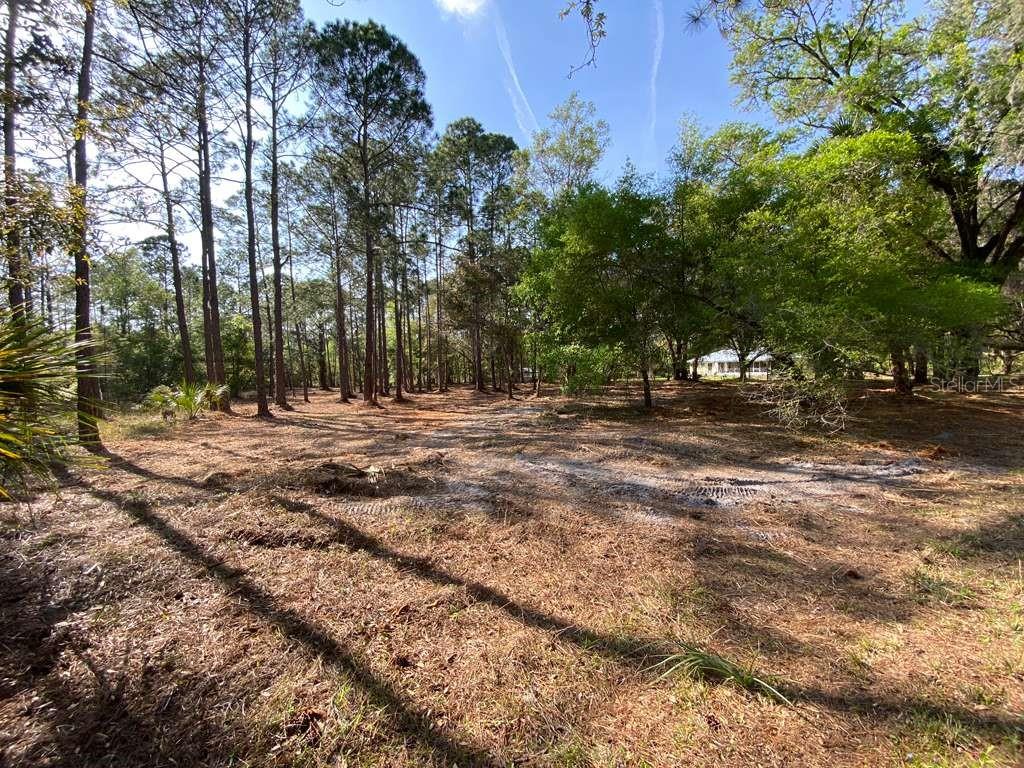 7756 Shillelagh Avenue, FL