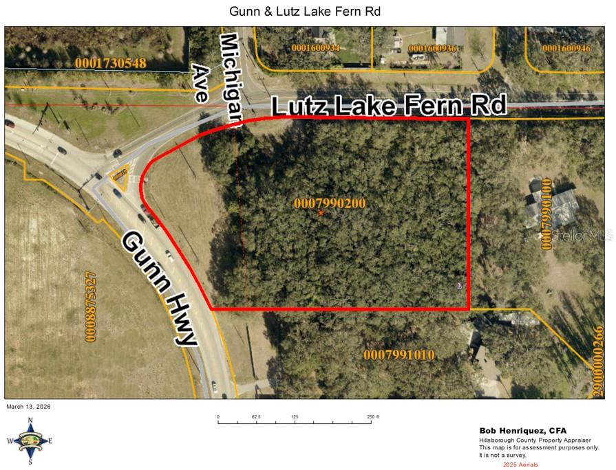 Lutz Lake Fern Road, FL