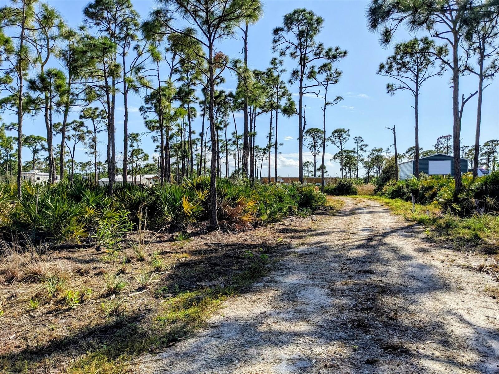 4159 Sunshine Blvd, FL