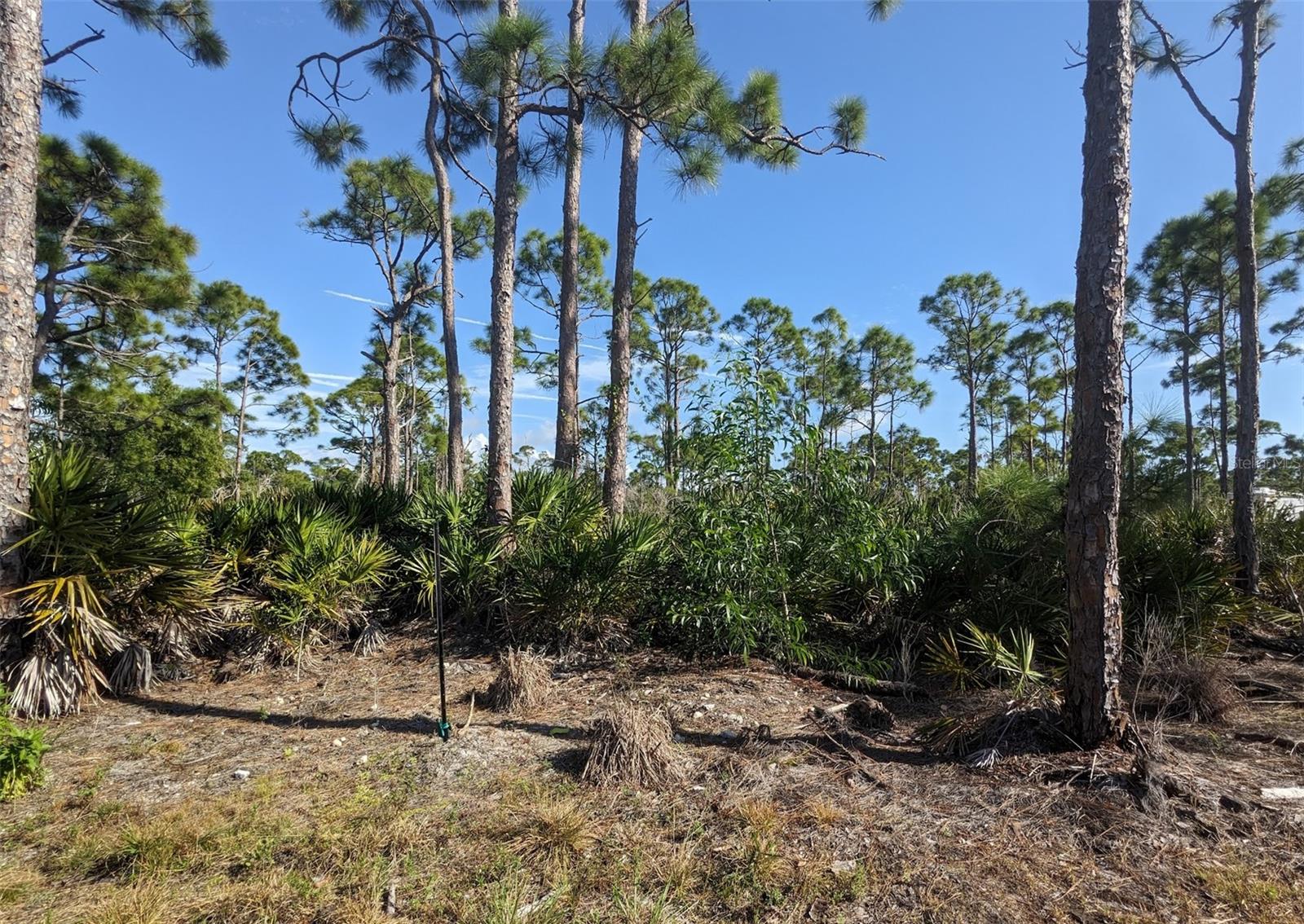4159 Sunshine Boulevard, FL