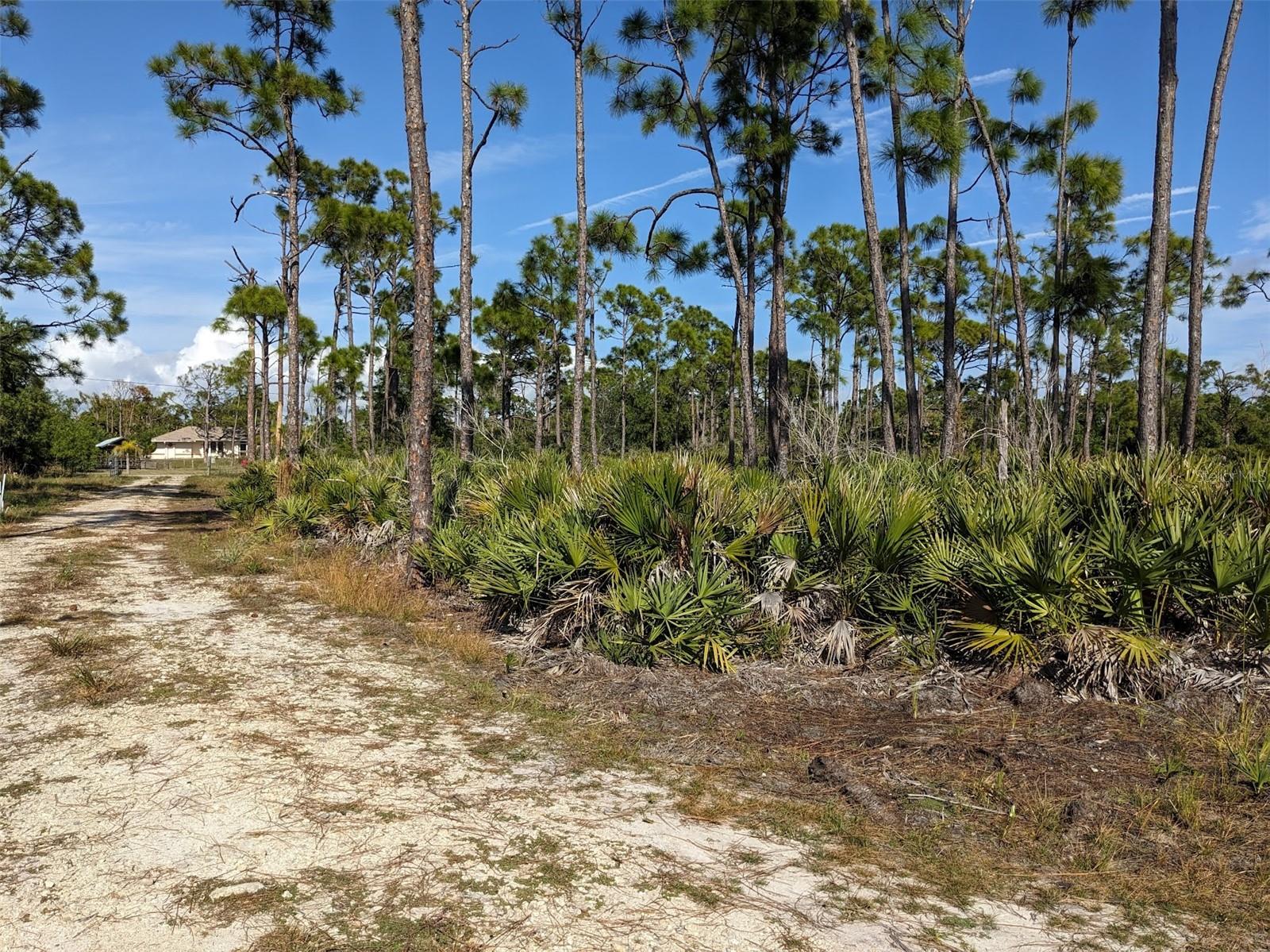 4159 Sunshine Boulevard, FL