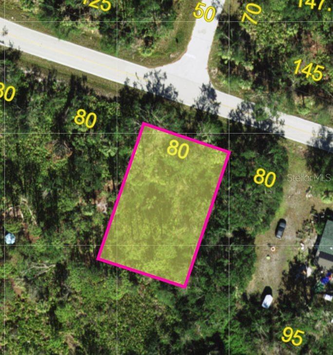 23341 Elmira Boulevard, FL