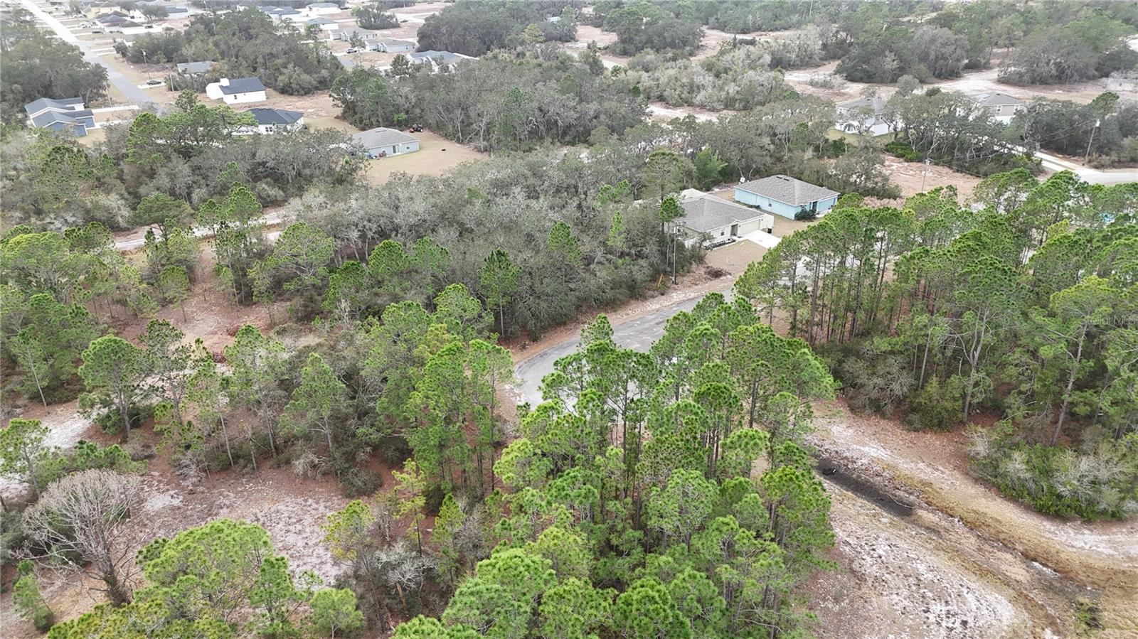 1255 Wahneta Drive, FL