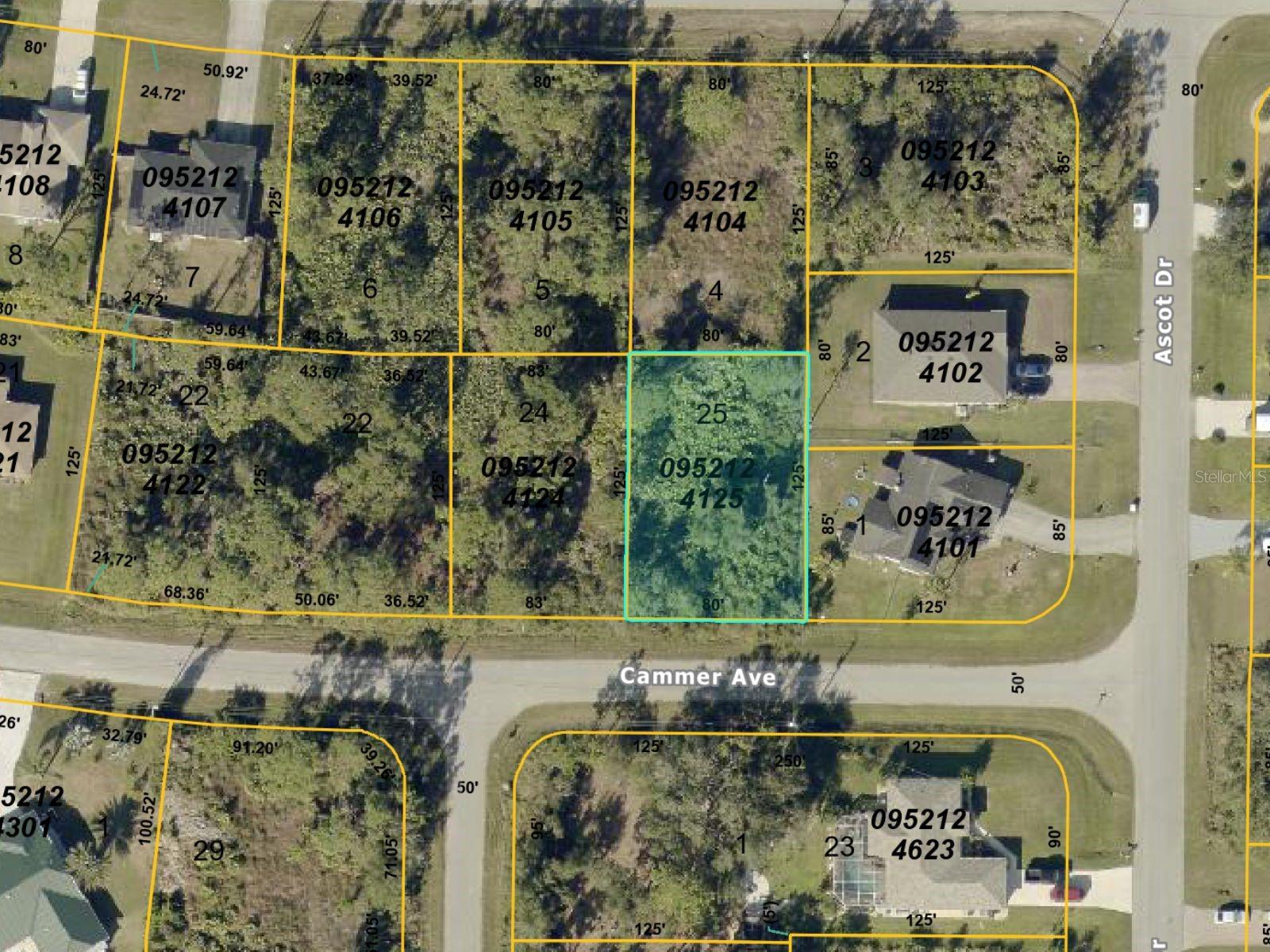 Cammer Avenue, FL