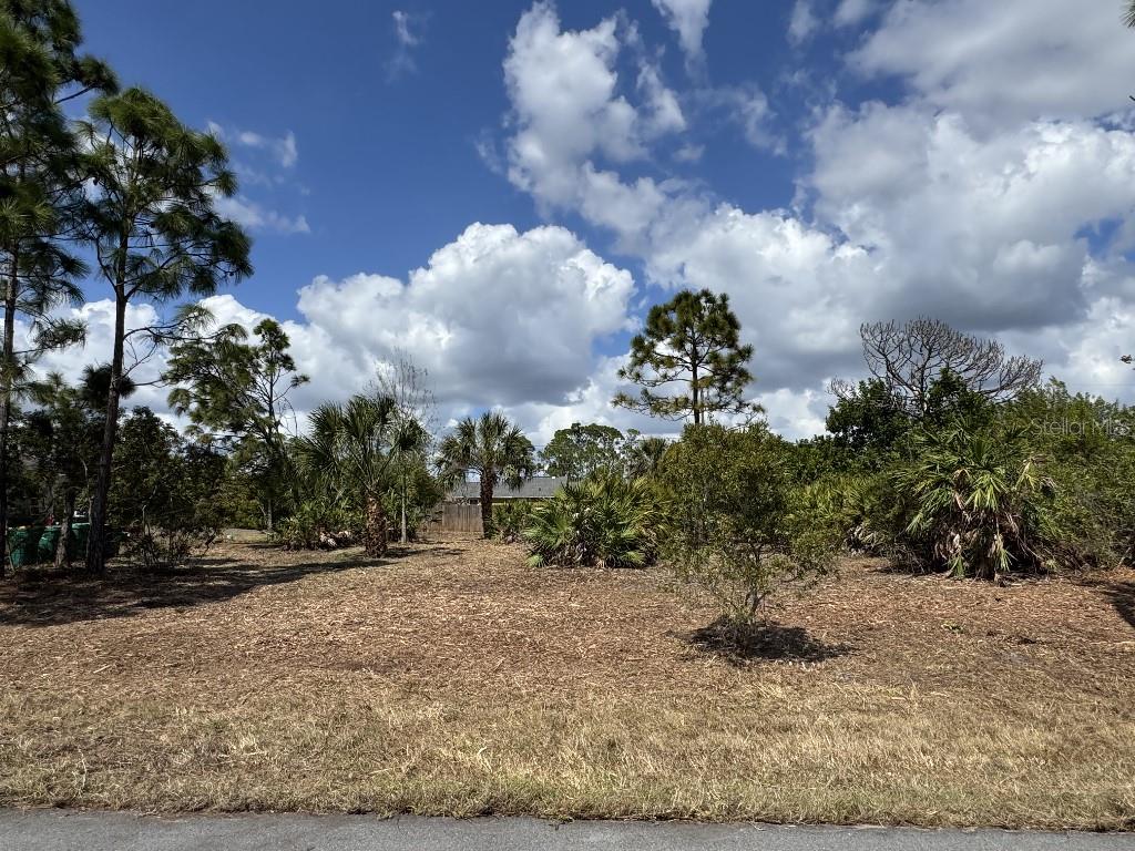 12238 Zittle Avenue, FL