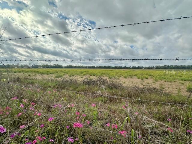 80th Street, FL