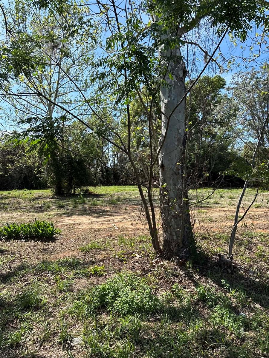 State Road 19, FL