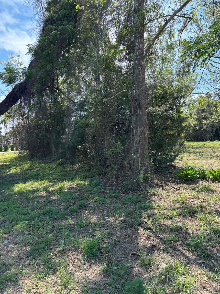 State Road 19, FL