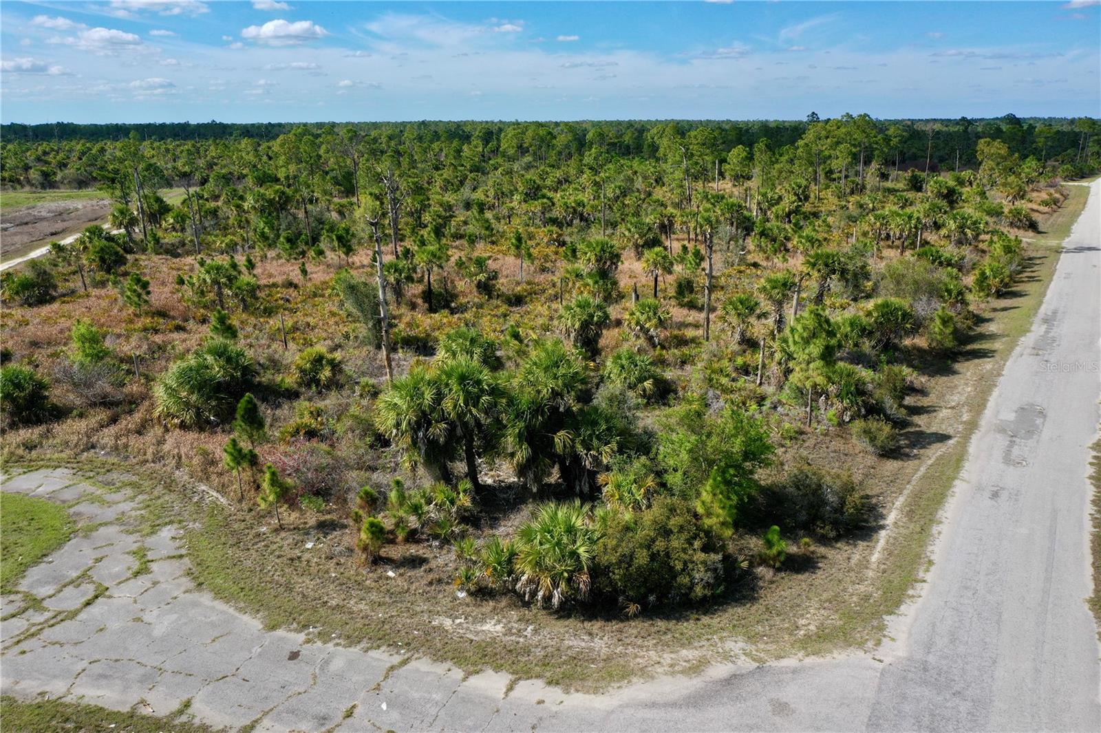Wild Court, FL